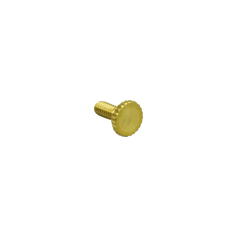 Allied Music Supply Replacement Woodwind Lyre Screw