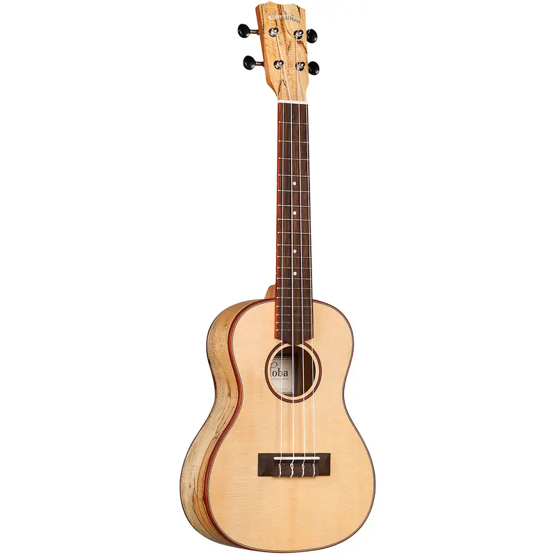 Cordoba 24C Spruce Spalted Maple Concert Ukulele