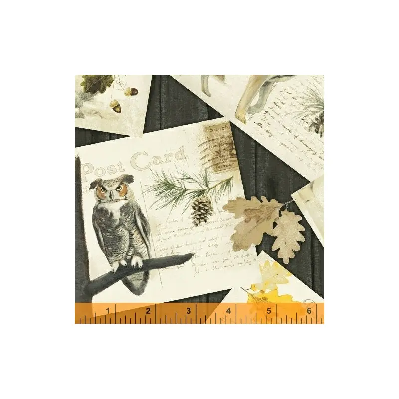 Northwoods Whistler Studios 41563-1 Cotton