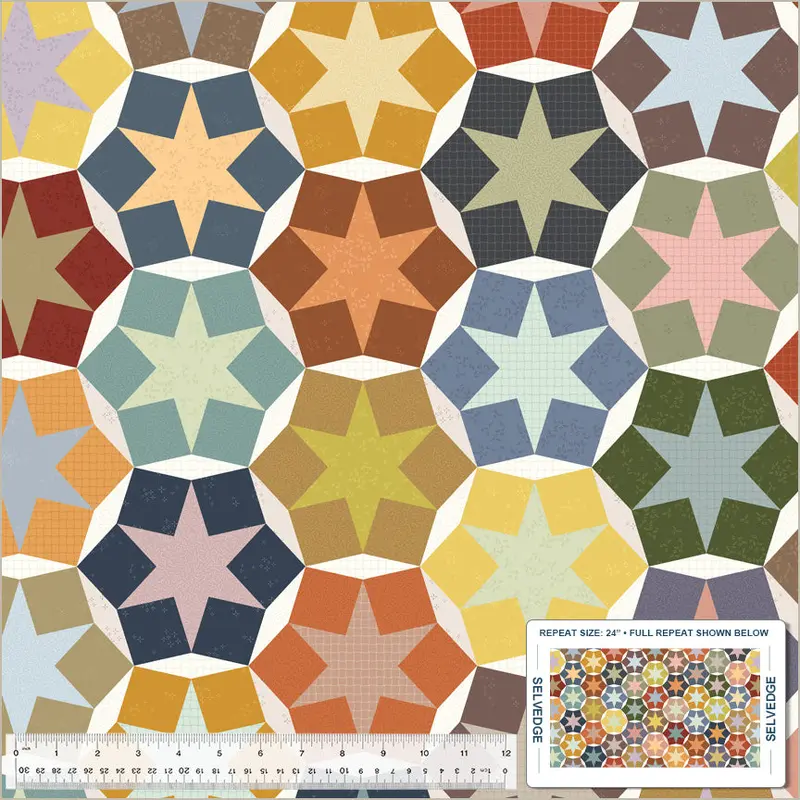 Nature Study 2.0 Whistler Studios 54690D-X Multi Stellar Whole Cloth Cotton