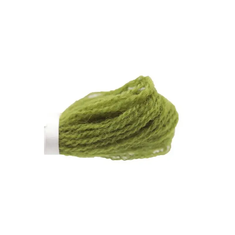 Appleton Crewel - 255 Grass Green Medium Dark
