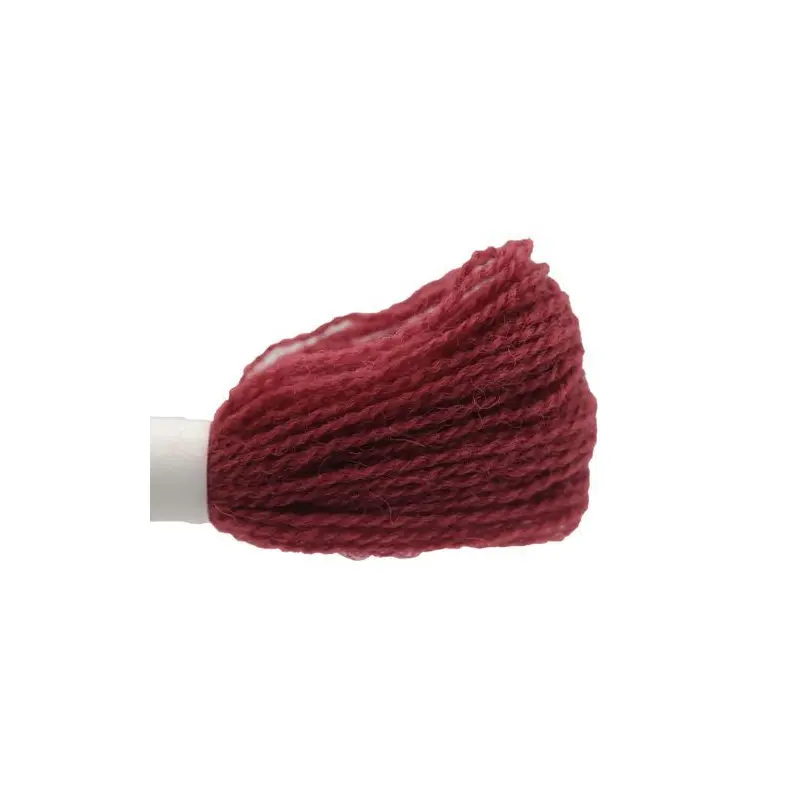 Appleton Crewel - 226 Bright terra cotta Medium Dark