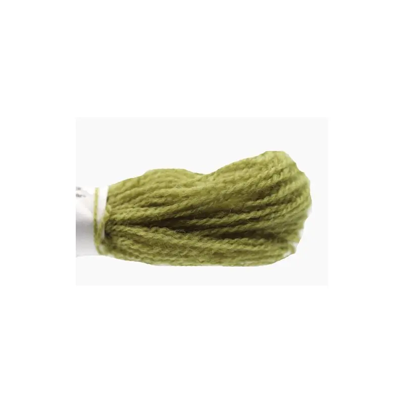 Appleton Crewel - 242 Olive Green Light