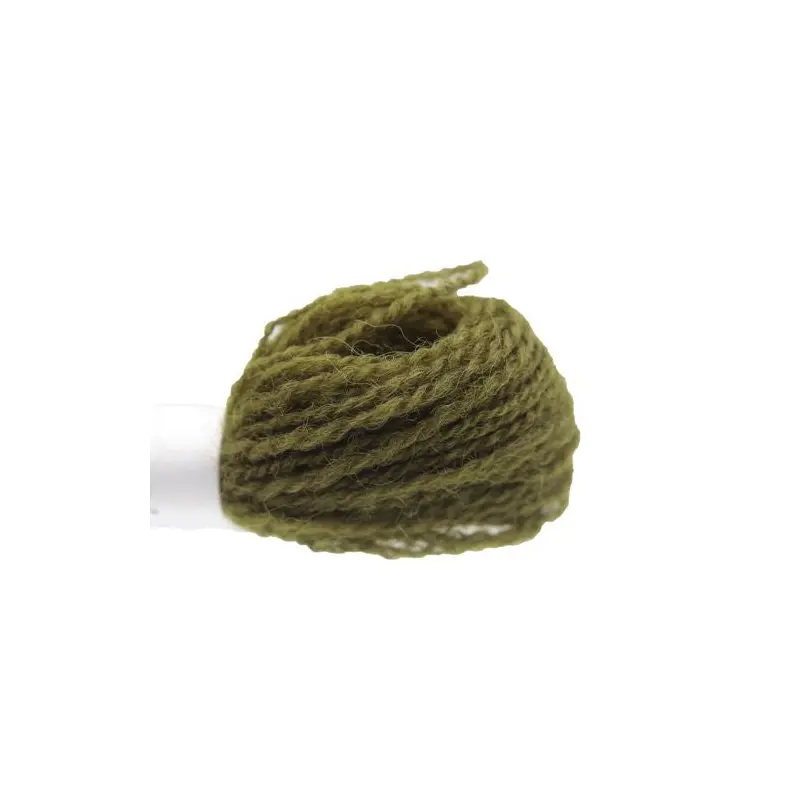 Appleton Crewel - 245 Olive Green Dark